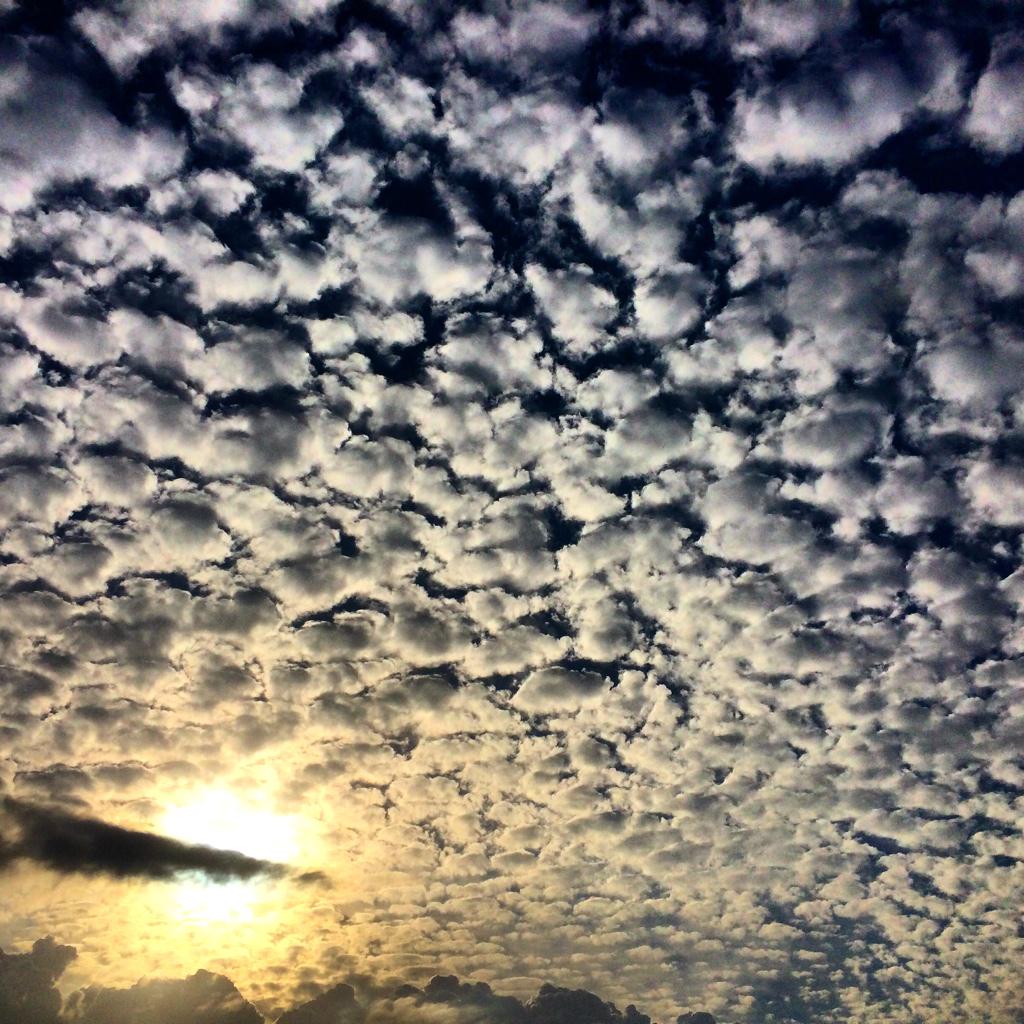 futureskool's tweet photo. Greetings earthlings http://t.co/7ceBsow6LF