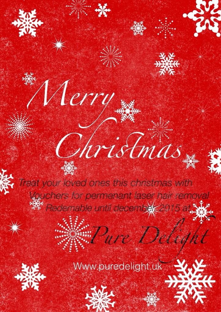 PureDelightUK's tweet photo. Christmas is just around the corner email;doit@puredelight.uk for appointments over the holidays! http://t.co/Ufx1Z172Wb