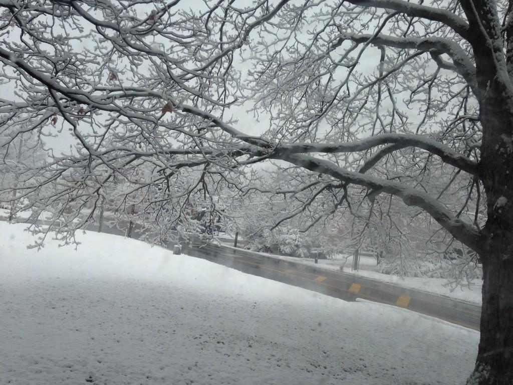 macyygray's tweet photo. This was literally only last week to today... #reallyohio http://t.co/mVnzRJ1fmT