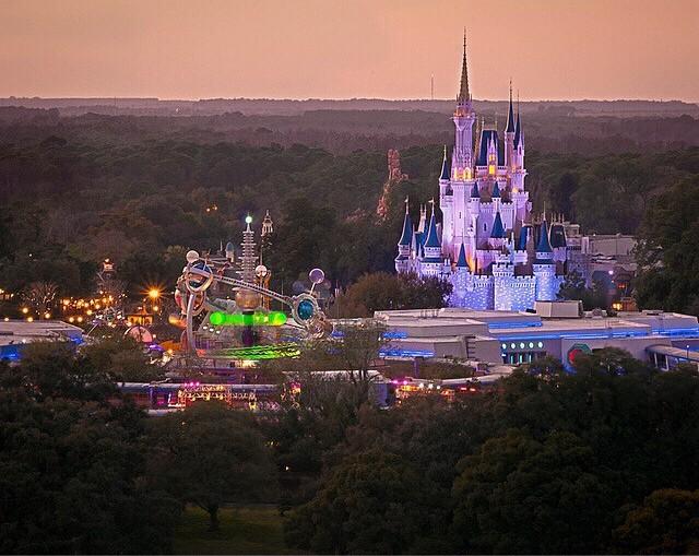 Repository_of's tweet image. RT @ChasingControl: So this must be twitter 
in 3D form 😍 
#wdw #bliss #fantasy #dvc