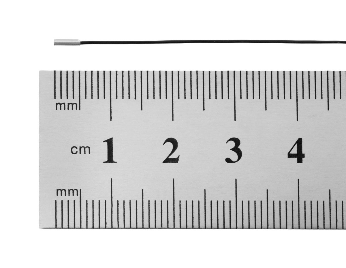microScoutCam's tweet image. Here’s some perspective on size. @microScoutCam alongside a #ruler. #microcamera #worldssmallestvideocamera