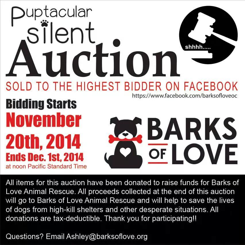 thebarkngypsy's tweet photo. @FallonTonight Check out this Event! A great gift from @thebarkngypsy . We are Silent Auction #81! http://t.co/YTchThdCnl