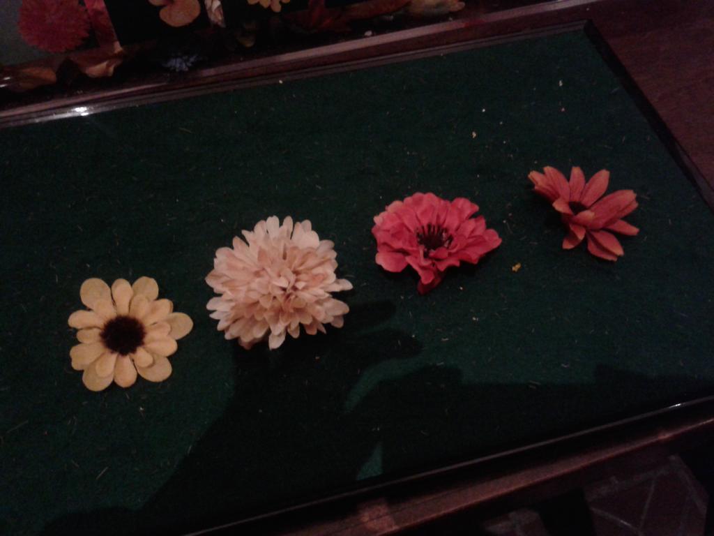 pilarw's tweet image. Love! #decodinghistory @FolgerLibrary