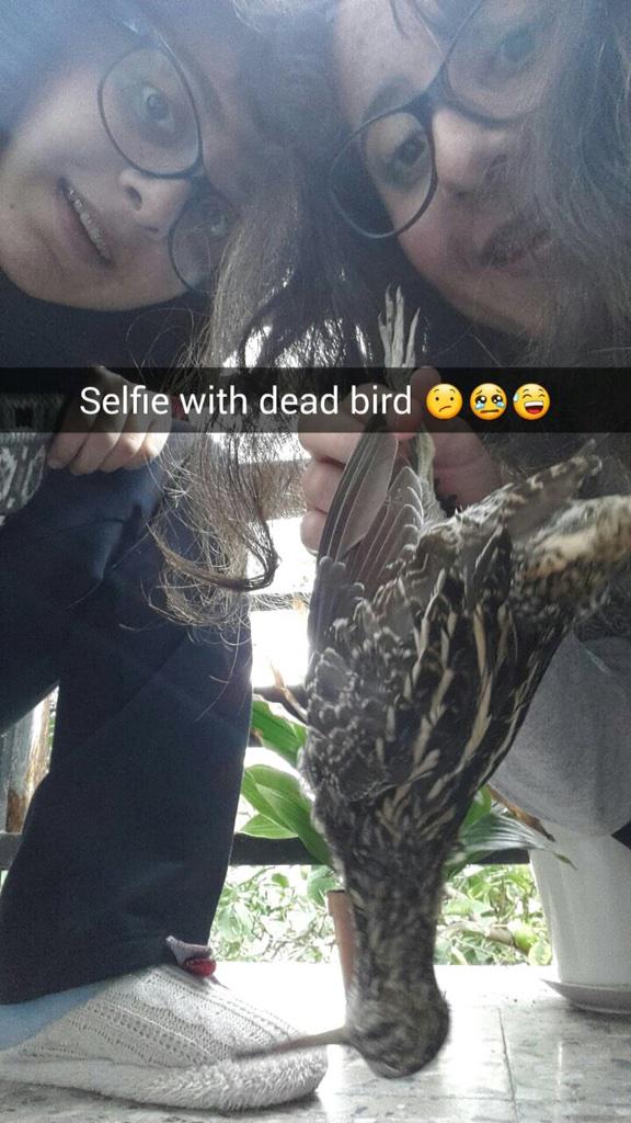 _Simzer_'s tweet image. Ölü kus , laika ve ben 😂