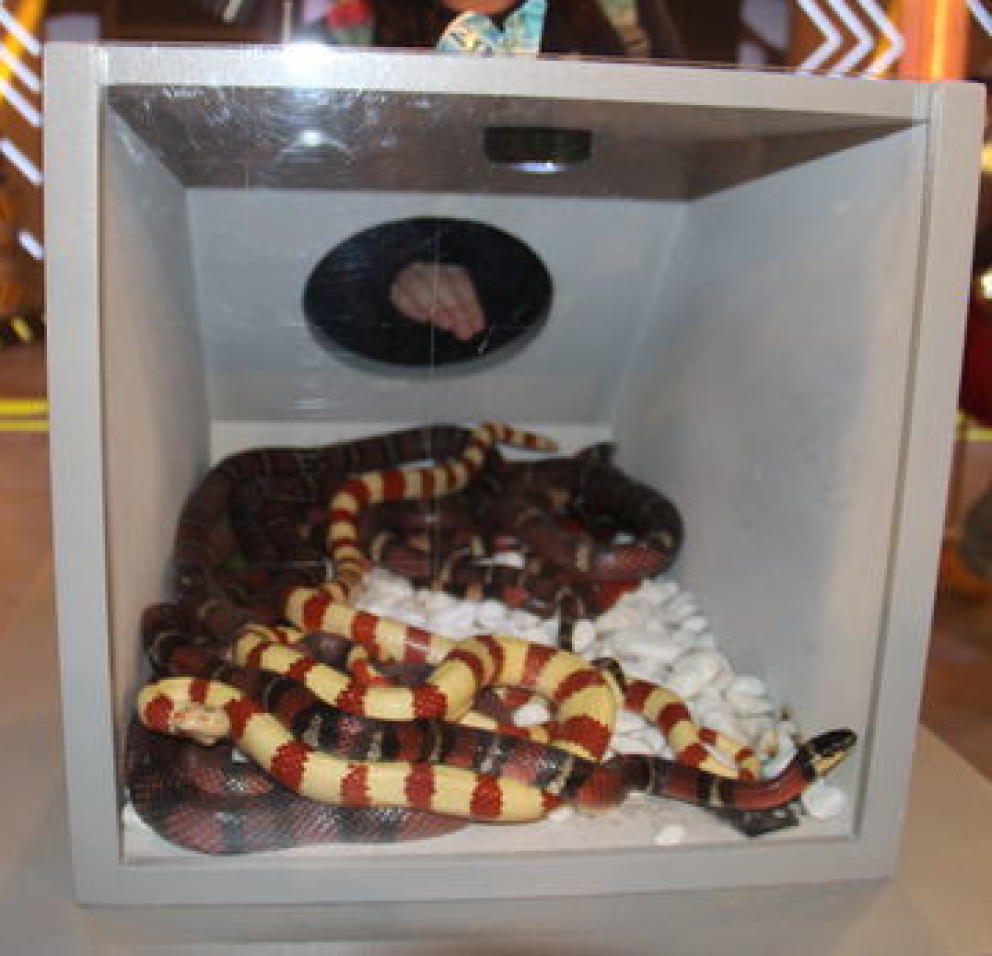 PartidoPACMA's tweet photo. El maltrato animal debería estar prohibido en televisión. Rechazo total a #KillerKaraoke y su uso de animales http://t.co/52azJwunin