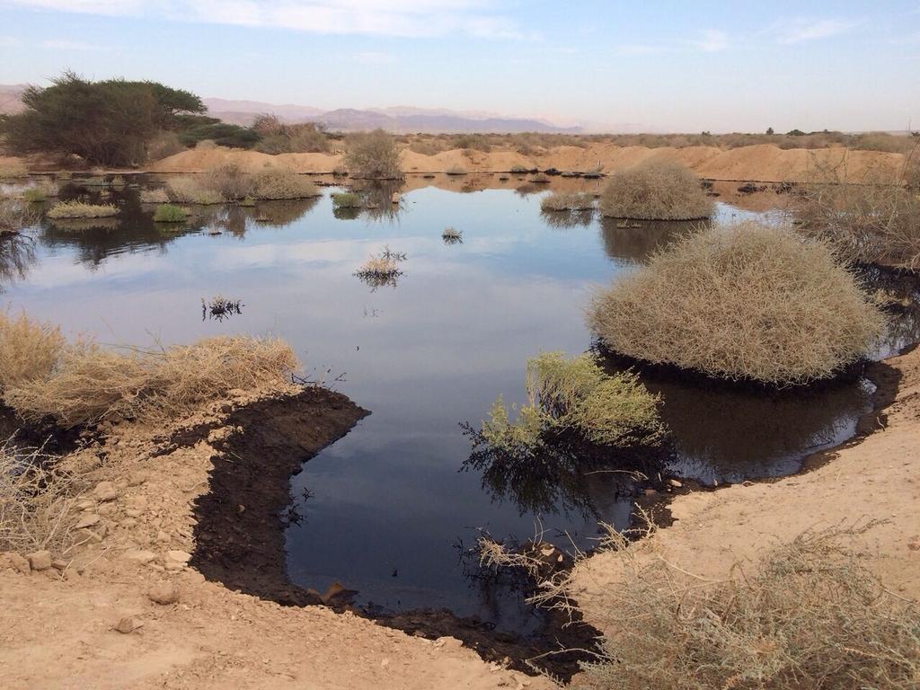 View image on Twitter View image on Twitter