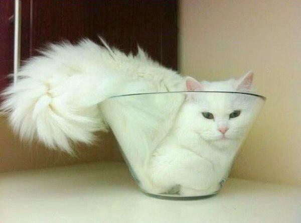 ЯНА ))) (@yyy_yyy03) on Twitter photo 