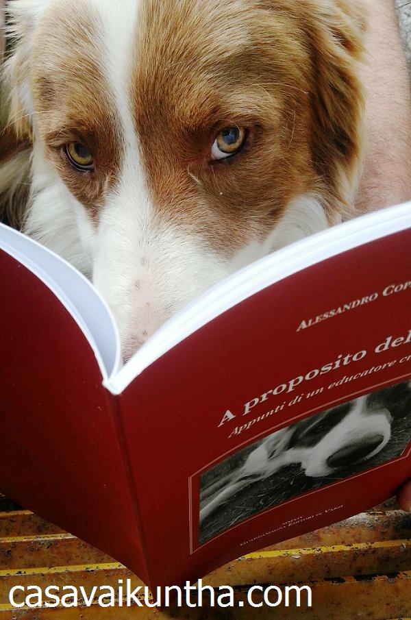 <a href="/FBaratieri/">Fondazione Baratieri</a> casavaikuntha.com/2014/libroapro…