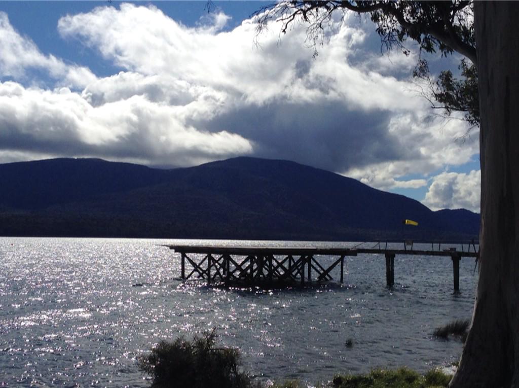 Karen Schleper, PT, DPT tweet media