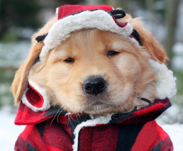Me now walking home!
