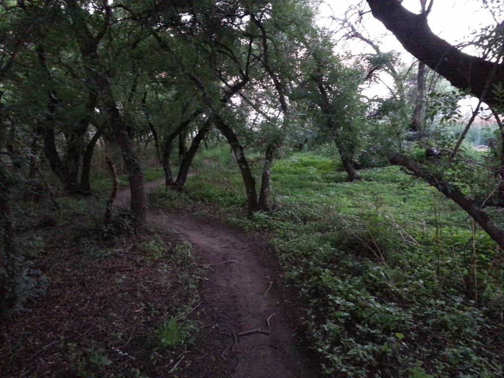 Zandithemermaid's tweet photo. Loving these night ride vibes**! My new favourite favourite @ModderReserve #Bikeโก #SuuntoRide #ModderfonteinReserve http://t.co/klMyvbvXUq