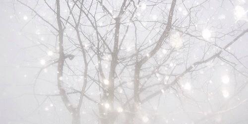 ParodyLoveNotes's tweet image. let's spread some Christmas love