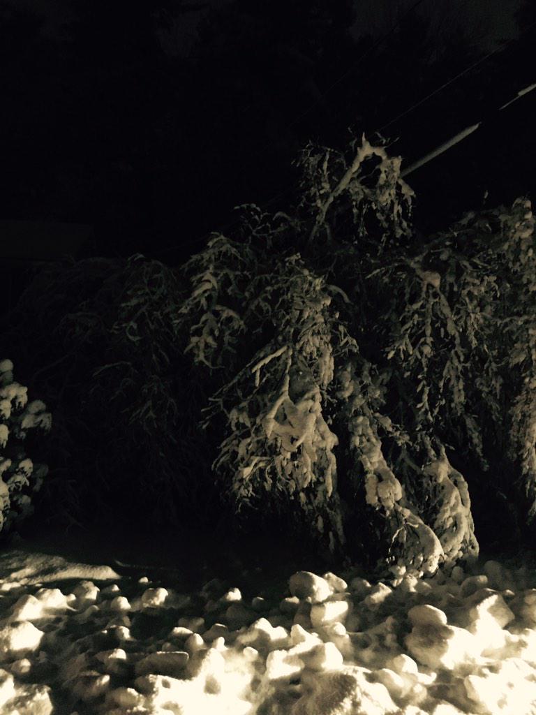 beard_brews's tweet image. Yeah so came back from hockey to this! Yup! That's my driveway!! #lovemylife #stillhavepower