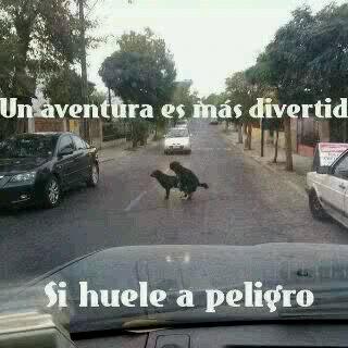Luicender's tweet photo. Jajajajaja http://t.co/F3O14GQ4Jq