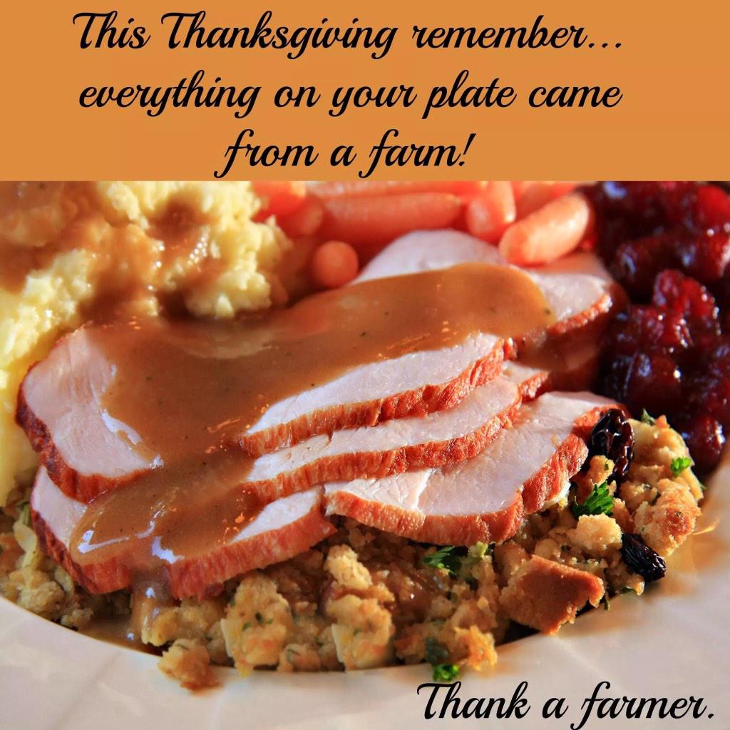 CountryLadyEmma's tweet photo. Remember to Thank A Farmer this #Thanksgiving #OregonAgricultureInTheClassroom http://t.co/bNQqEyz8XO