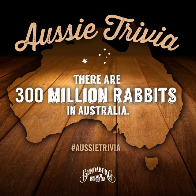 BundabergDrinks's tweet photo. #AussieTrivia http://t.co/GhfSZbQuTQ