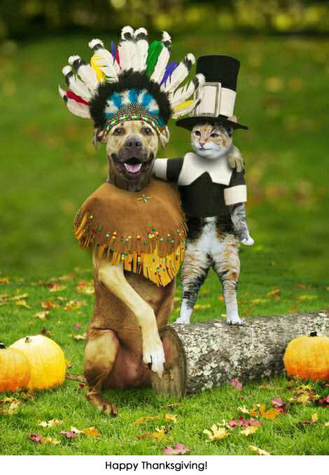 designingwn2's tweet photo. Happy Thanksgiving ya all! http://t.co/T2zcdTOwT1