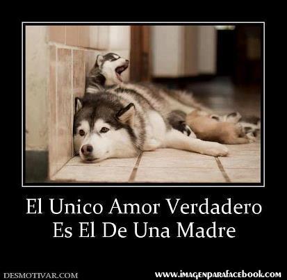 byitsel's tweet photo. http://t.co/K2bKTI3AgG