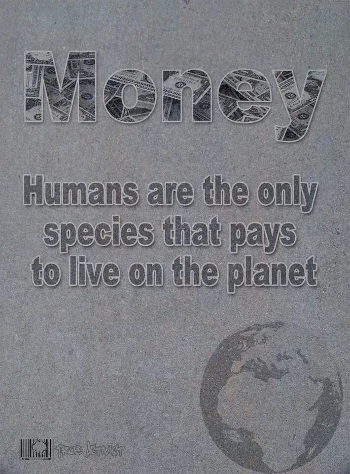 #EndCaptivity tweet media