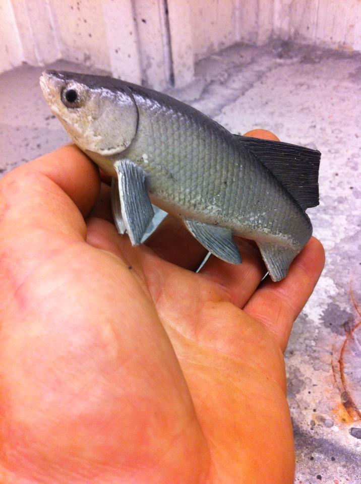 WiredAngler's tweet photo. Gonna go beat up some hitch proto types this weekend on Clear lake http://t.co/SIB6G528dW
