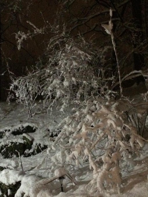 View image on Twitter View image on Twitter