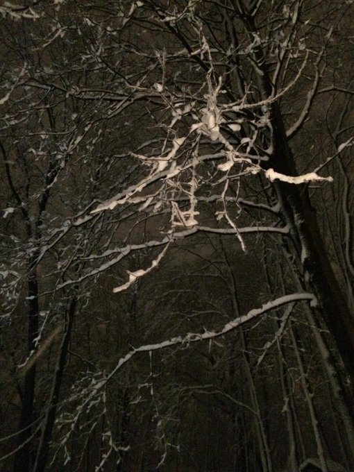 View image on Twitter View image on Twitter