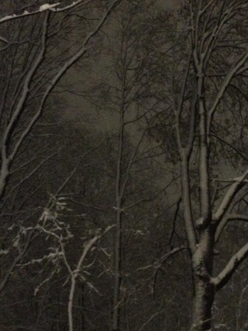 View image on Twitter View image on Twitter