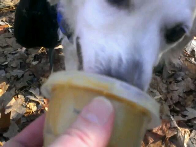 Waney64's tweet photo. Working on his recall.... Positively!! http://t.co/XPfMUNFsFG