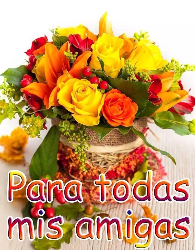 anna49cecy's tweet photo. @SEGUROSPADRON @johanny_rm @erysabela @GINA_MONTERO @ccalatrava @EuridiceGuerra @kathybaker1965 #goodnight #Chicas😘😘😘 http://t.co/87hsLIHYCp