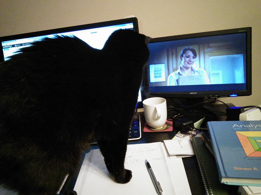 kryss2021's tweet image. I watch Love Actually. I drink your coffee. I don't do your analysis homework. #CatWorldProblems