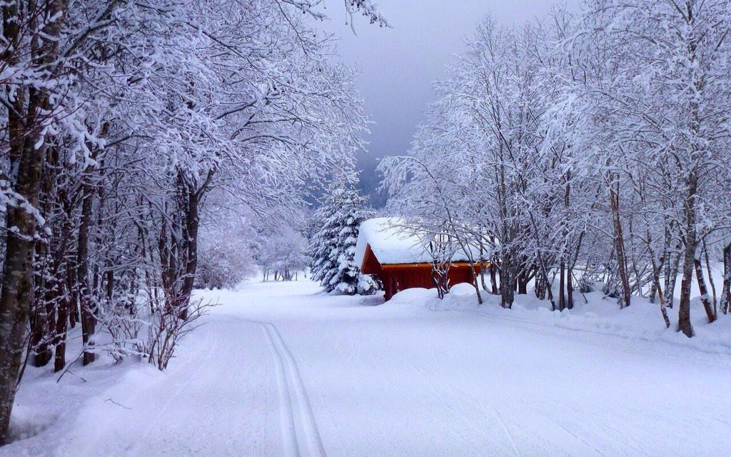 JenaC2's tweet photo. In the woods http://t.co/m38fr7uD2h