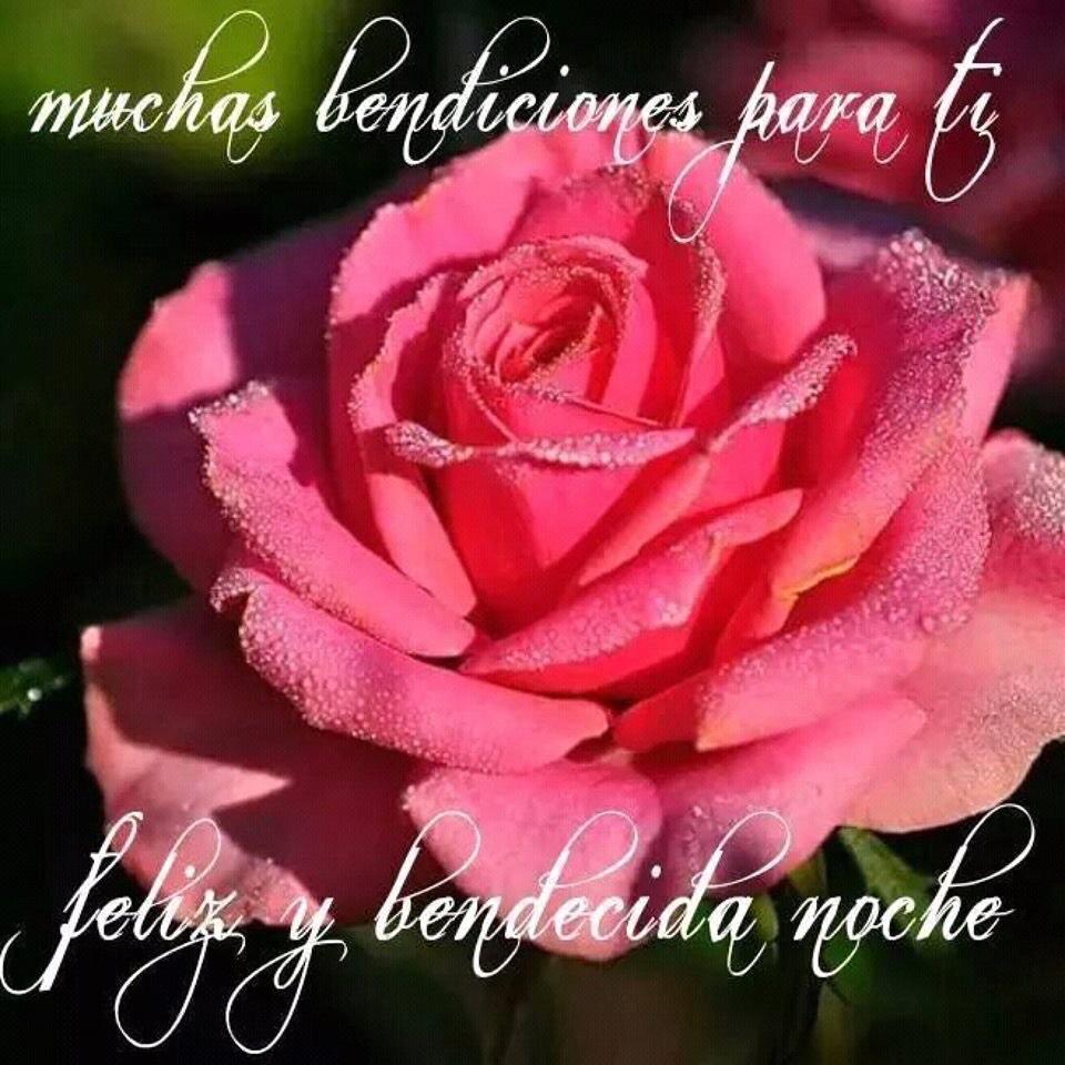 SEGUROSPADRON's tweet photo. @anna47cecy @johanny_rm @erysabela @GINA_MONTERO @ccalatrava @EuridiceGuerra @kathybaker1965 😘😘😘 http://t.co/J0swIigspl