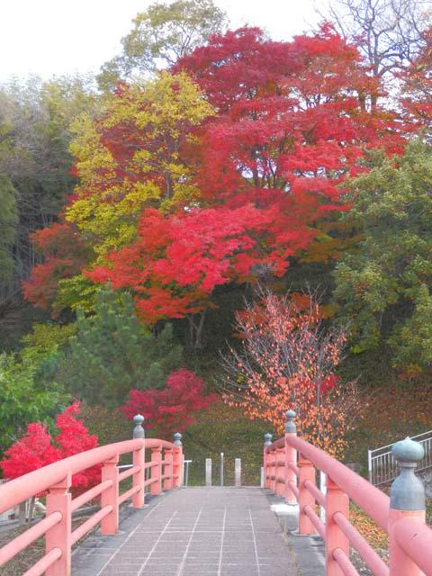 ちはや ぶる 神代 も 聞か ず 竜田川 から くれ な ゐ に 水 くくる と は