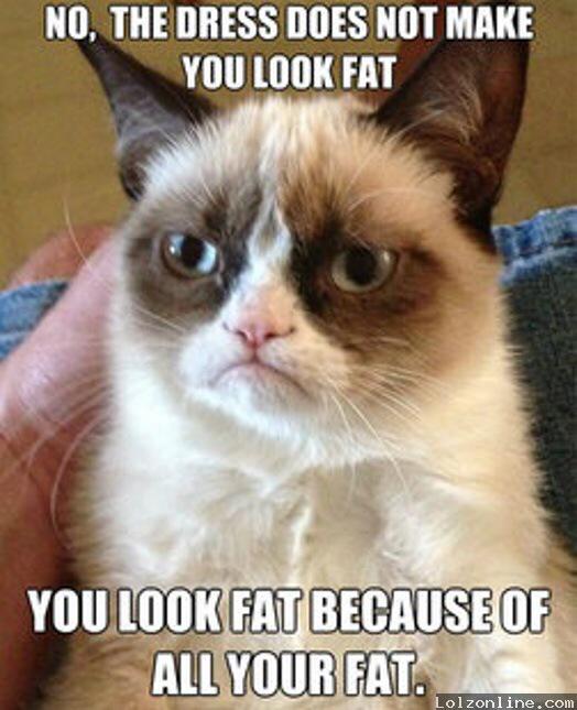 cherylt2000's tweet photo. Gotta love #GrumpyCat and his #GrumpyCaptions !!!!! #truth http://t.co/lUVf2ltlVY