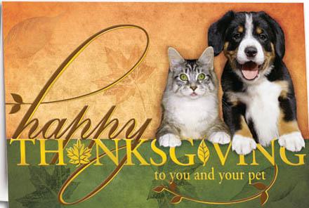 PITBULL LOVE  (@allpitbulls) on Twitter photo 