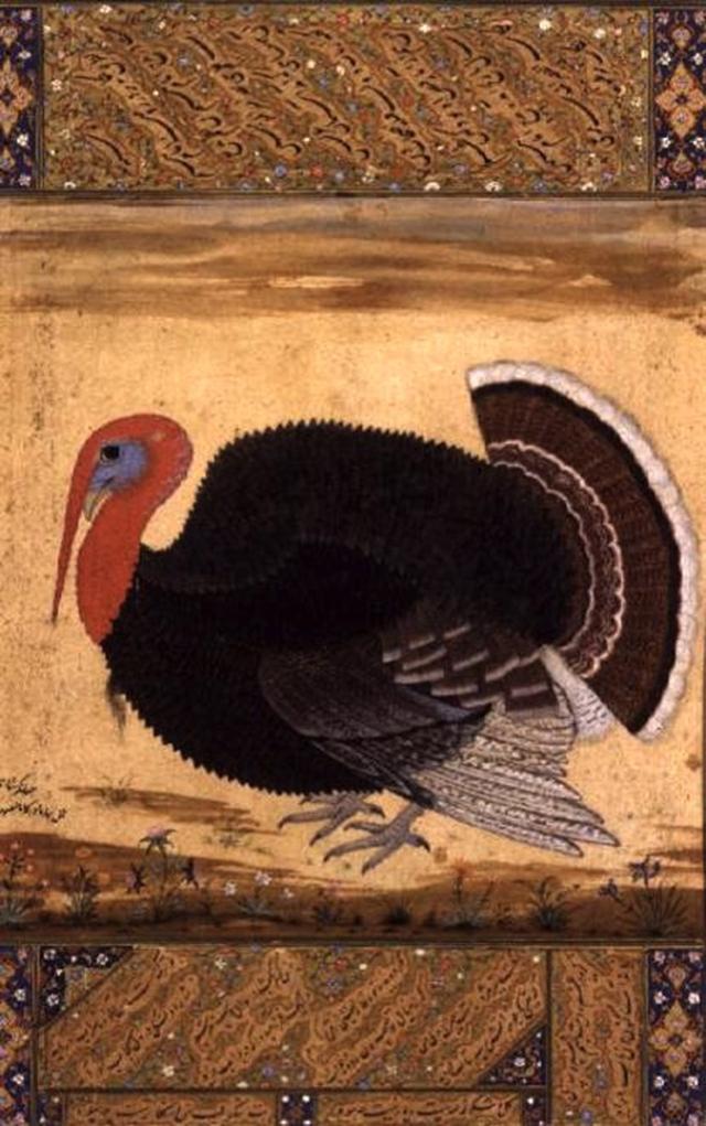 Fennec_Arts's tweet image. &apos;&apos;An American Turkey in the Mughal Court&apos;&apos; bit.ly/1tlj0VY #TurkeyDay #India #art