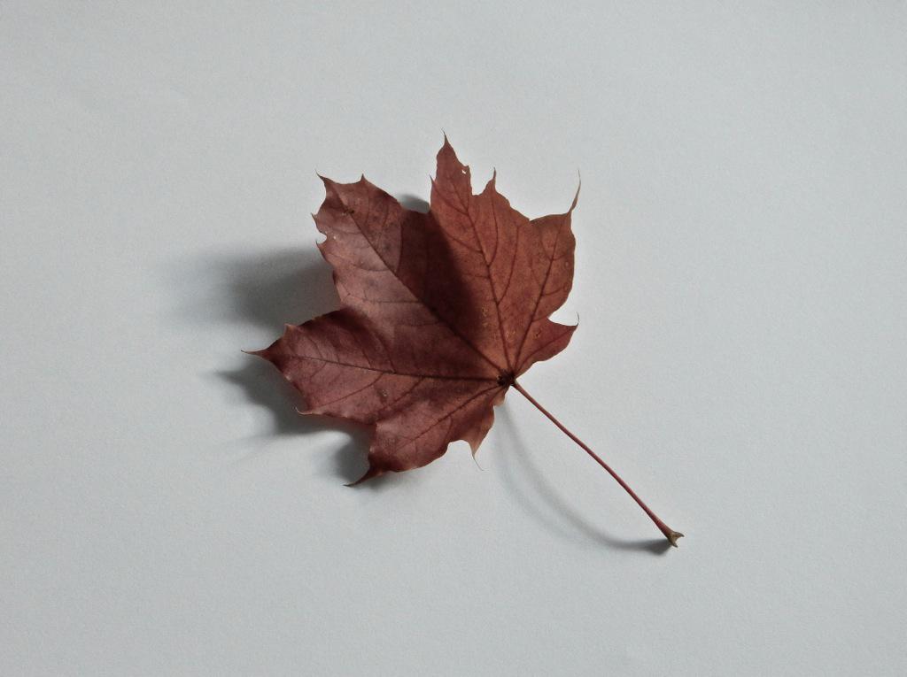 Jonathan C. Lamantia tweet media