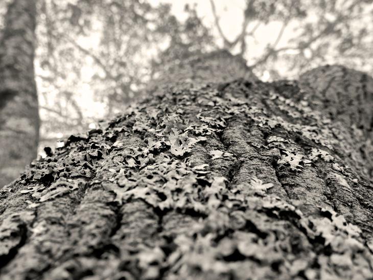 Jonathan C. Lamantia tweet media