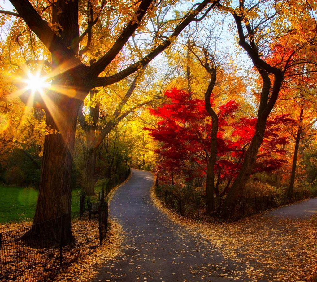 EL OTOÑO SE ACERCA CON MUY POCO RUIDO...* - Página 28 B3c6eZGIEAAz-7Q