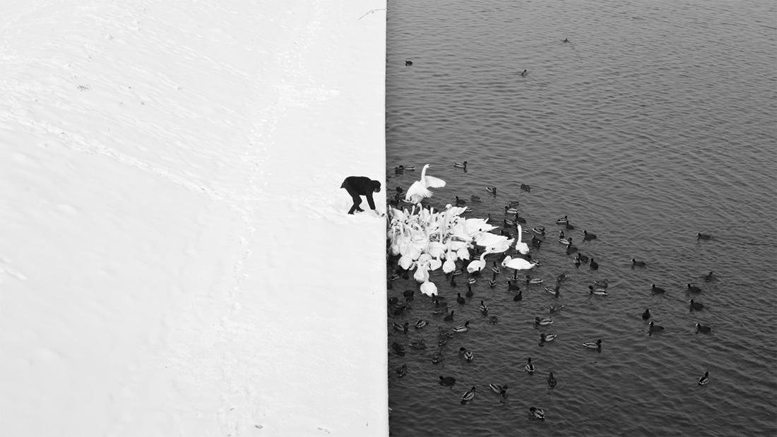 A Man Feeding Swans in the Snow © Marcin Ryczek
#photography #blackandwhite #fineartphotography #fineart #yingandyang