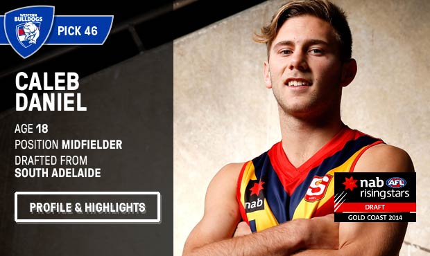 westernbulldogs tweet picture