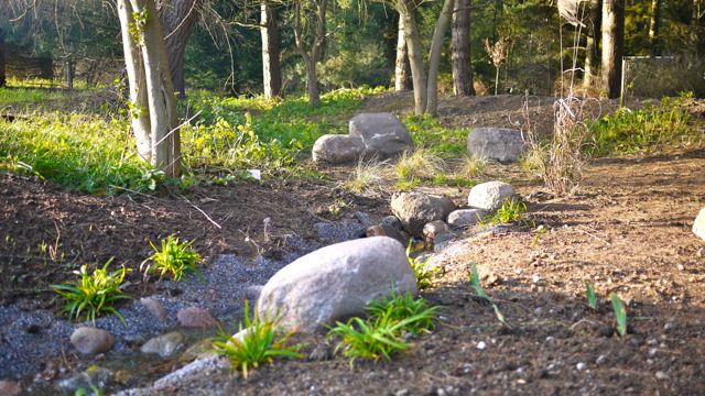 dortedalgaard's tweet photo. Kan #natur også forebygge stress? DKs første #helseskov #Octovia skal give svaret. Hør #Natursyn 22/12 @P1radio http://t.co/S4TOPkmAYs