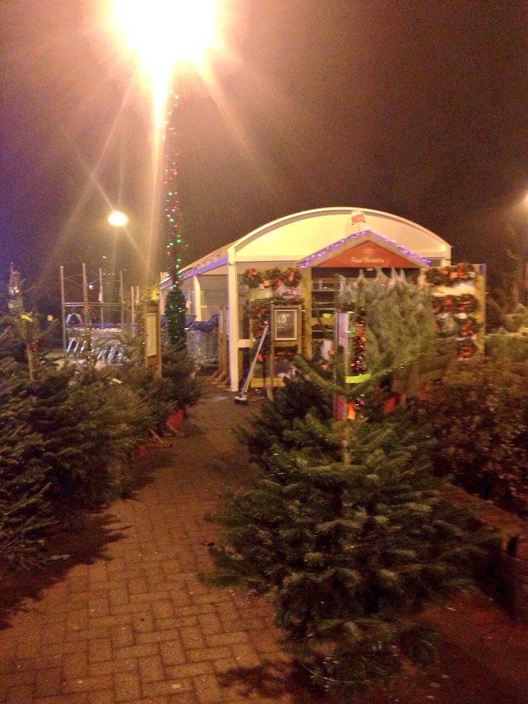 Dobbies Xmas wonderland forest has arrived <a href="/zoepryke/">Zoe Pryke</a> <a href="/colchester_2326/">Tilly</a> @nabby78 @