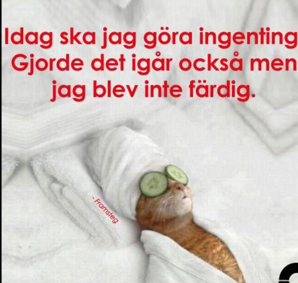 pias_twitt tweet picture