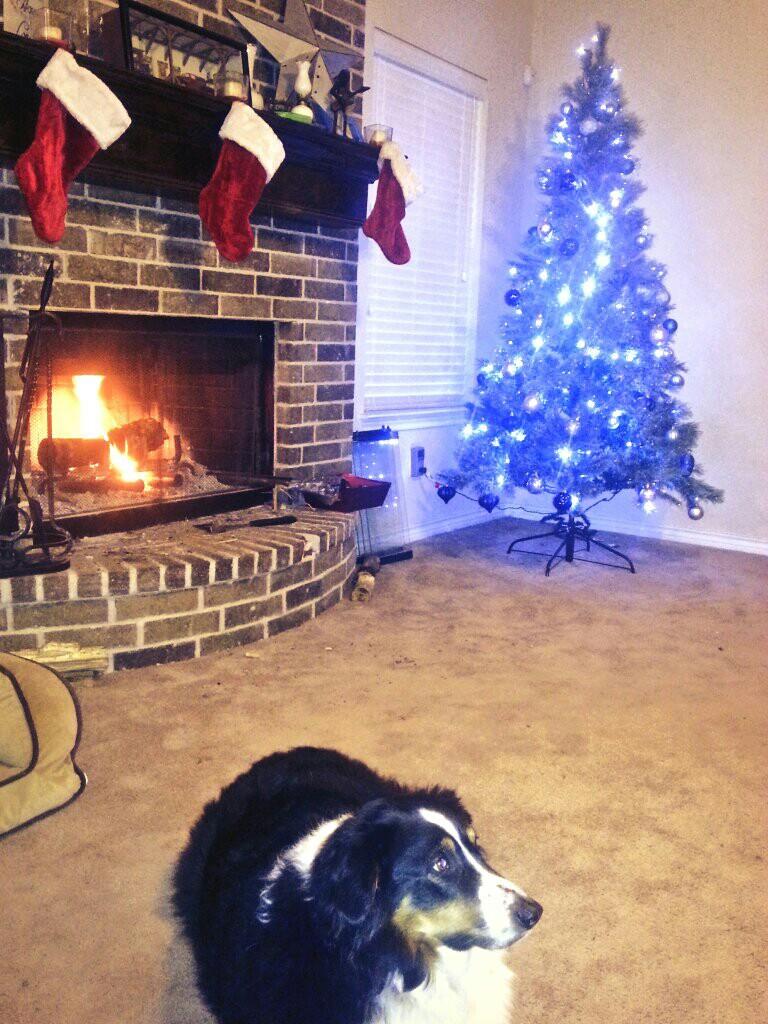BennettCyndi's tweet photo. After today we can start getting ready for CHRISTmas. http://t.co/oUURPPUnCl