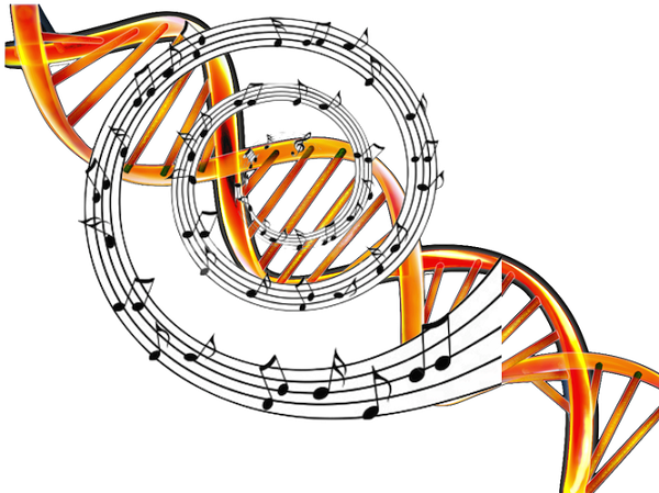 lifegenetic's tweet photo. Un álbum de música escrito en el ADN http://t.co/5VXu5rGBqZ vía @TICbeat http://t.co/s08vguP7AZ