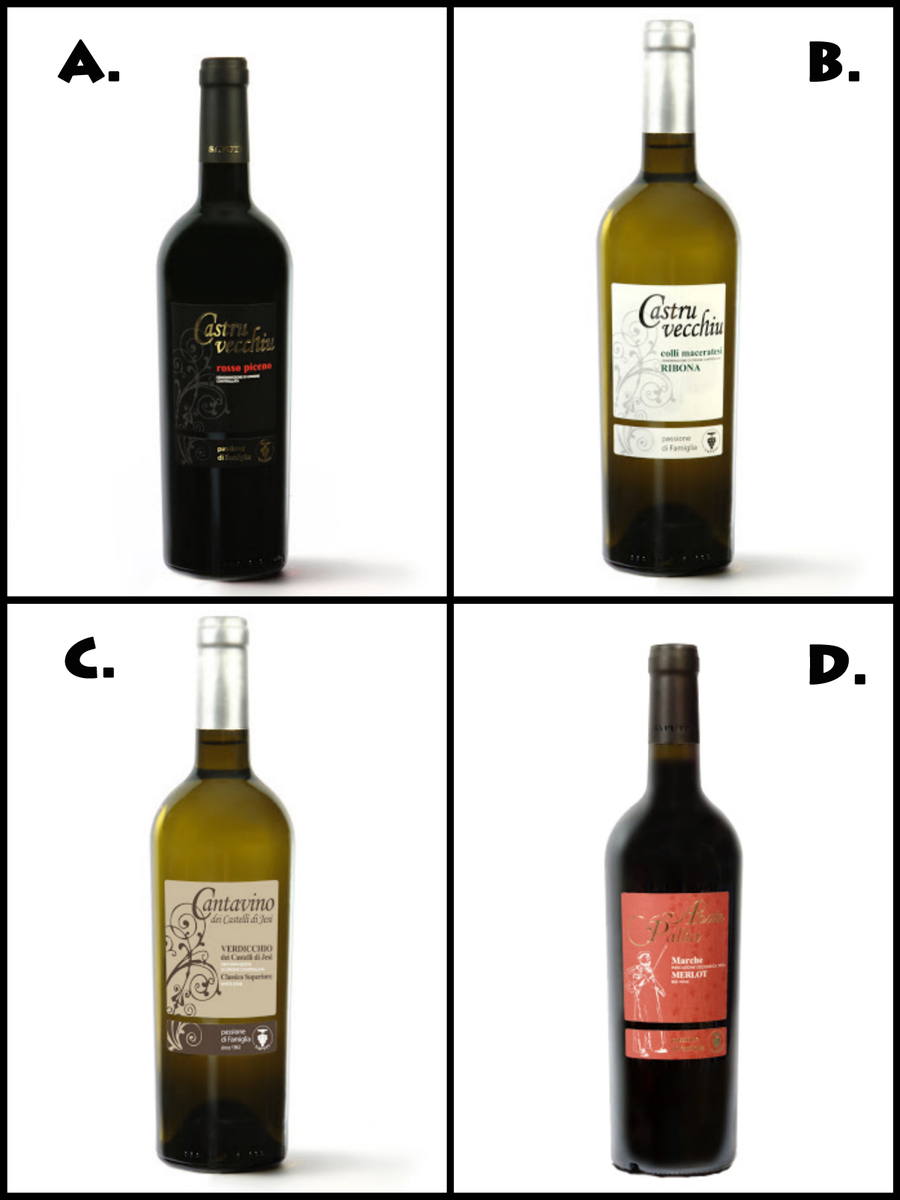 CantineSaputi's tweet photo. Qual è il tuo preferito? #RossoPiceno #Ribona #Verdicchio #Merlot
#wine #winelovers #CantineSaputi #Marche http://t.co/BbataSI0nF