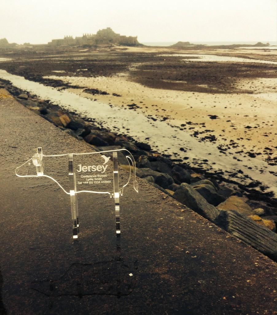 eventsinjersey's tweet photo. Perspex #makeacow, brilliant handmade gift from Adrian and just in time for an autumnal shower... @loveheritage http://t.co/jmxY1Srvqo