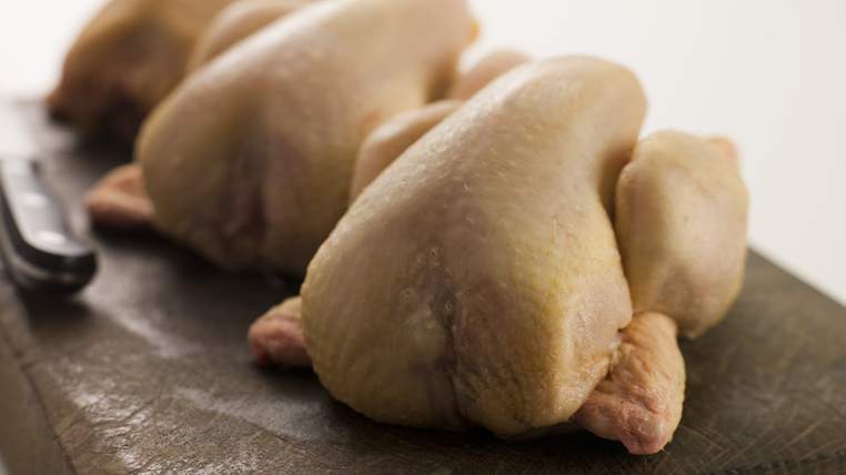 Разделать курицу на порционные. Разрезать тушку курицы. Куриное мясо в лаборатории. Рулет из целой курицы в духовке. Курица мясо.