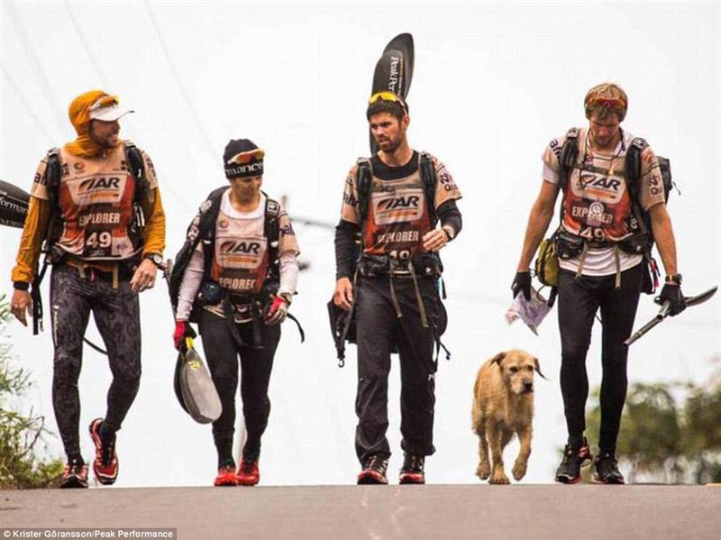 PetHealthCare01's tweet photo. Meet Arthur the dog who refused to go way from #teampeakperformance & walked 430 miles!
http://t.co/oxhM08DqYg http://t.co/LF6HmU6fZD